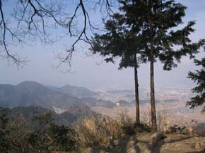IMG_0008