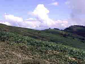 Dsc00030
