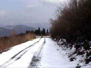 DSC00018