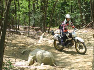 Img_0304
