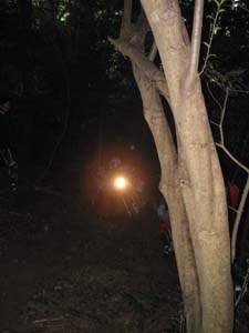 IMG_0012