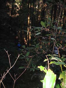 IMG_0015