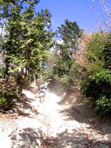IMG_0014