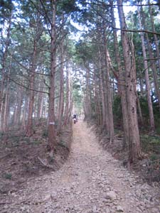 IMG_0019