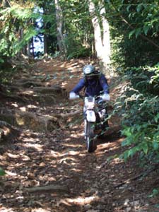 DSCF0356