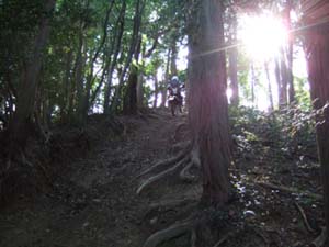 DSCF0359
