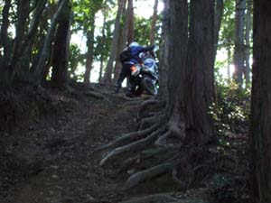DSCF0362