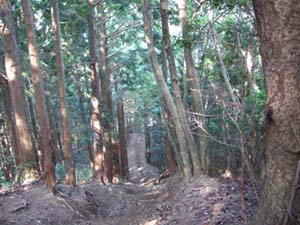 DSCF0371