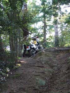 DSCF0384