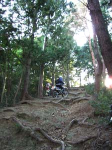 DSCF0387