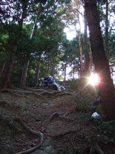 DSCF0388