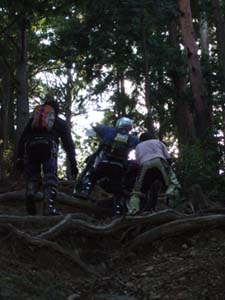 DSCF0389