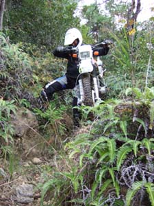 DSCF0397