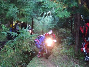 DSCF0401