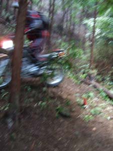 DSCF0409