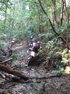 DSCF0417