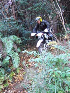 DSCF0533