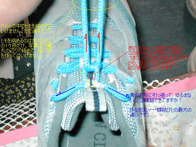 No.000345@CЂEݑ΍